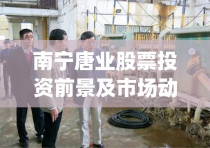 南宁唐业股票投资前景及市场动态深度解析