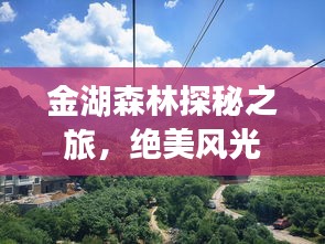 金湖森林探秘之旅，绝美风光与玩法全攻略！