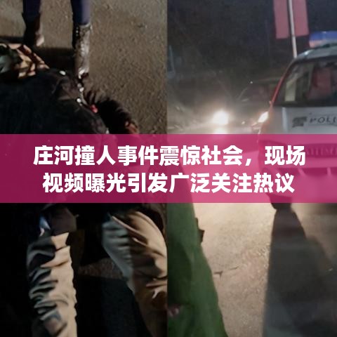 庄河撞人事件震惊社会，现场视频曝光引发广泛关注热议