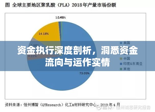 资金执行深度剖析，洞悉资金流向与运作实情