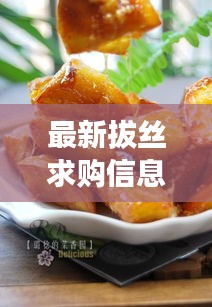 最新拔丝求购信息及法律热点探讨解析