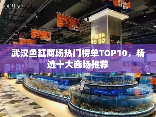 武汉鱼缸商场热门榜单TOP10，精选十大商场推荐