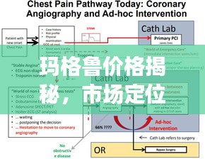 玛格鲁价格揭秘，市场定位与影响因素深度解析