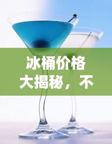 冰桶价格大揭秘，不同种类与材质的价格差异详解