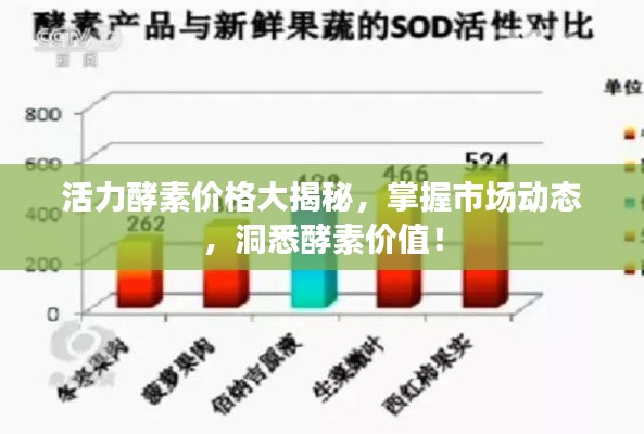 活力酵素价格大揭秘，掌握市场动态，洞悉酵素价值！