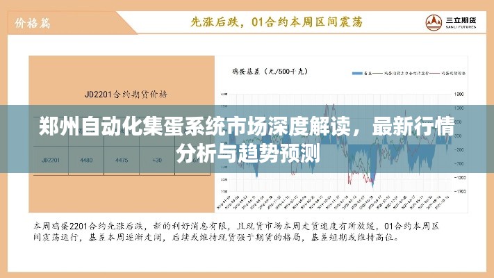 郑州自动化集蛋系统市场深度解读，最新行情分析与趋势预测