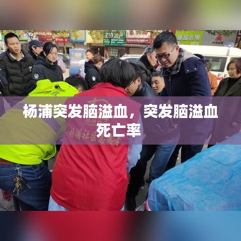 杨浦突发脑溢血，突发脑溢血死亡率 