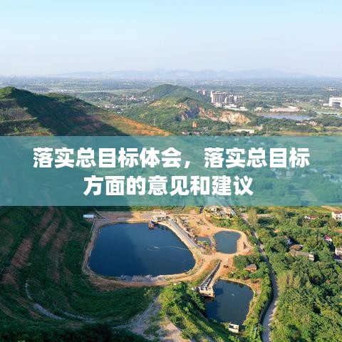 落实总目标体会，落实总目标方面的意见和建议 