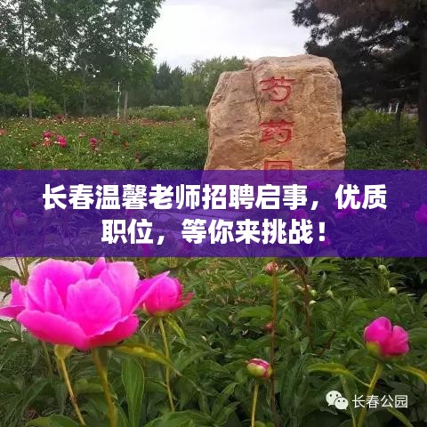 长春温馨老师招聘启事，优质职位，等你来挑战！