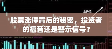 股票涨停背后的秘密，投资者的福音还是警示信号？