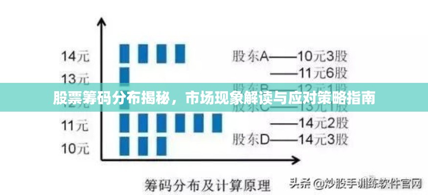 股票筹码分布揭秘，市场现象解读与应对策略指南