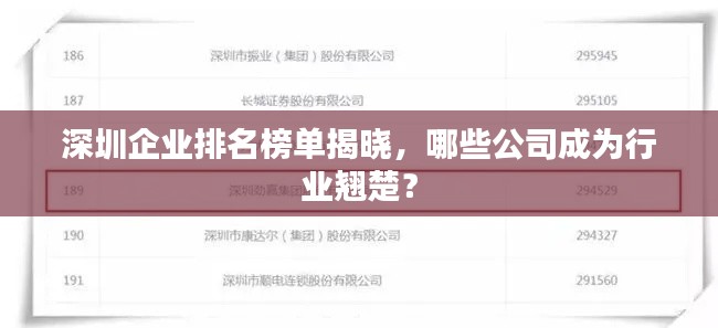 深圳企业排名榜单揭晓，哪些公司成为行业翘楚？