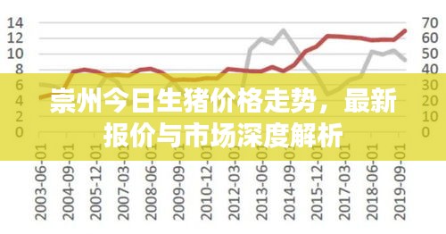 崇州今日生猪价格走势，最新报价与市场深度解析