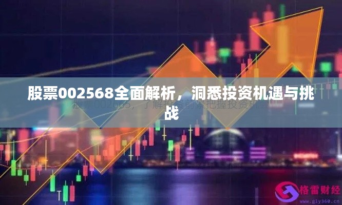 股票002568全面解析，洞悉投资机遇与挑战