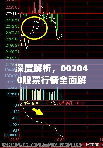 深度解析，002040股票行情全面解读