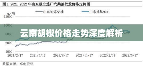 云南胡椒价格走势深度解析