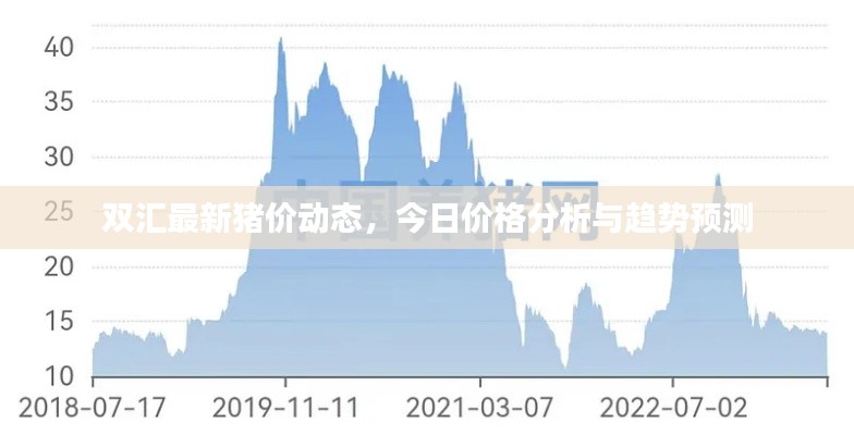 双汇最新猪价动态，今日价格分析与趋势预测