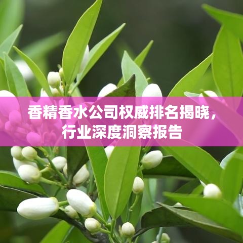 香精香水公司权威排名揭晓，行业深度洞察报告