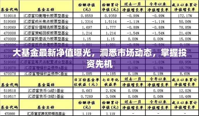 大基金最新净值曝光，洞悉市场动态，掌握投资先机