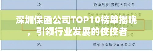 深圳保函公司TOP10榜单揭晓，引领行业发展的佼佼者