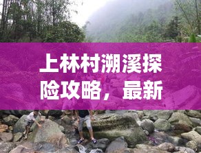 上林村溯溪探险攻略，最新指南带你畅游自然之境！