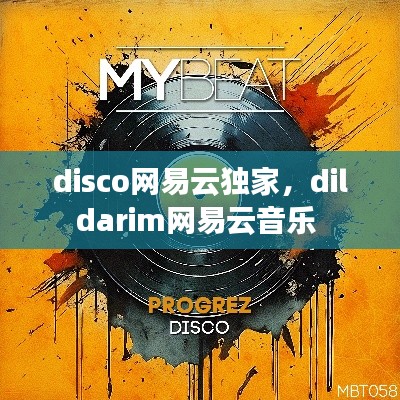 disco网易云独家，dildarim网易云音乐 