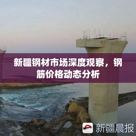 新疆钢材市场深度观察，钢筋价格动态分析