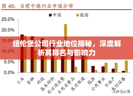 纽伦堡公司行业地位揭秘，深度解析其排名与影响力