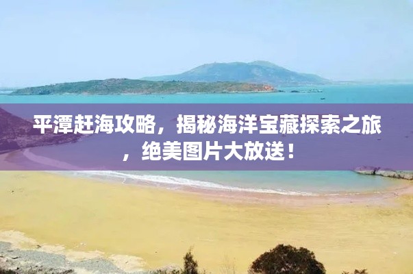 平潭赶海攻略，揭秘海洋宝藏探索之旅，绝美图片大放送！