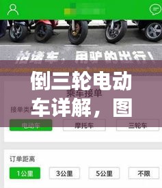 倒三轮电动车详解，图片展示、价格及更多信息一网打尽