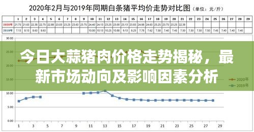 今日大蒜猪肉价格走势揭秘，最新市场动向及影响因素分析