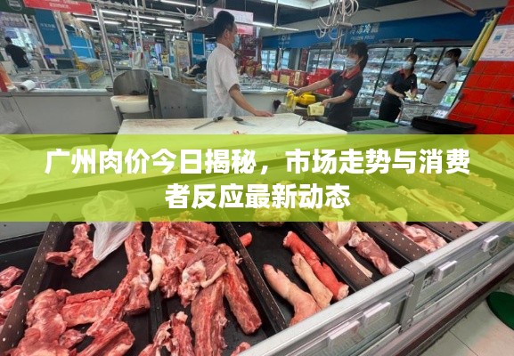 广州肉价今日揭秘，市场走势与消费者反应最新动态