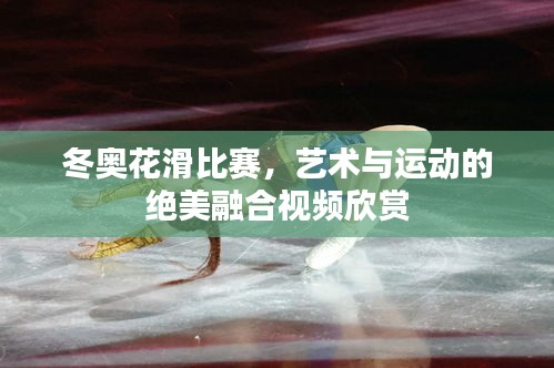 冬奥花滑比赛，艺术与运动的绝美融合视频欣赏