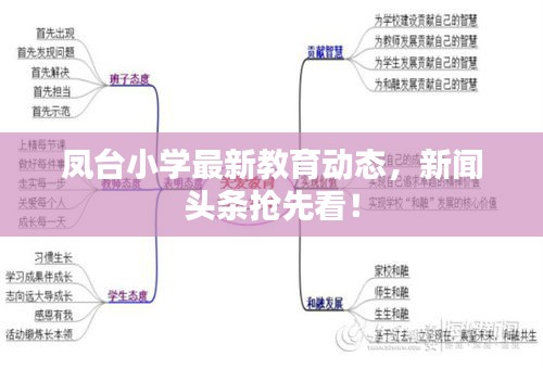 凤台小学最新教育动态，新闻头条抢先看！