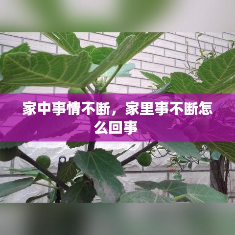 家中事情不断，家里事不断怎么回事 