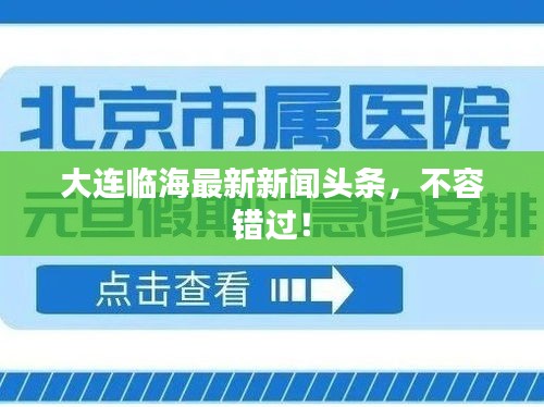 大连临海最新新闻头条，不容错过！