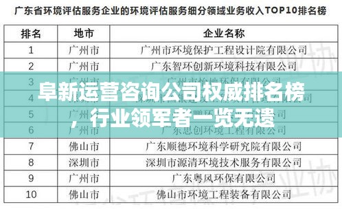 阜新运营咨询公司权威排名榜，行业领军者一览无遗