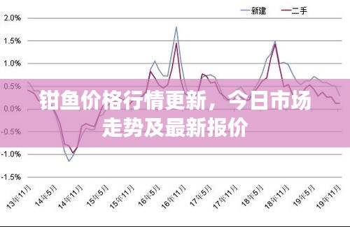 钳鱼价格行情更新，今日市场走势及最新报价