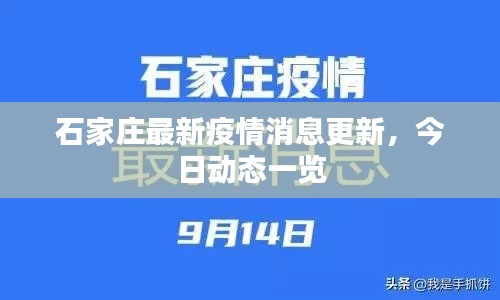 石家庄最新疫情消息更新，今日动态一览