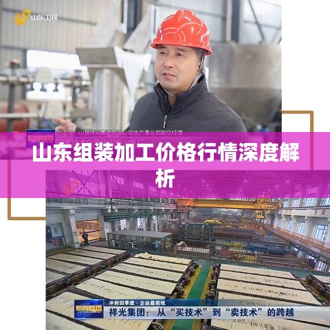 山东组装加工价格行情深度解析