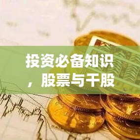 投资必备知识，股票与干股概念解析