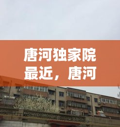 唐河独家院最近，唐河独家小院 