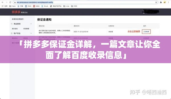 「拼多多保证金详解，一篇文章让你全面了解百度收录信息」