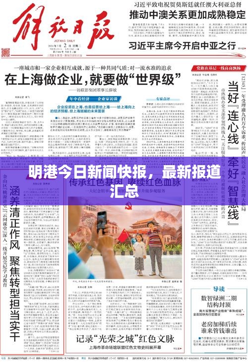 明港今日新闻快报，最新报道汇总