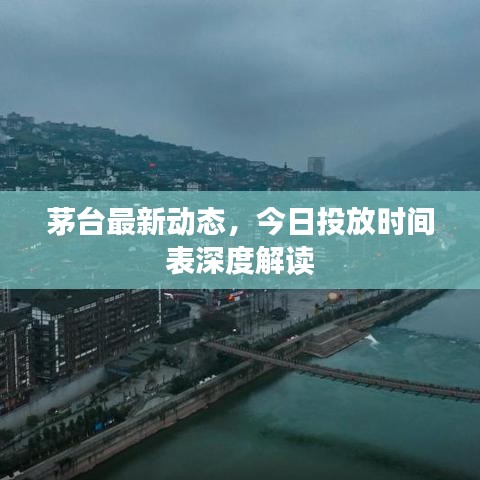 茅台最新动态，今日投放时间表深度解读