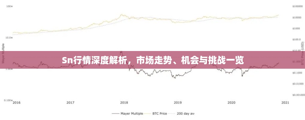 Sn行情深度解析，市场走势、机会与挑战一览