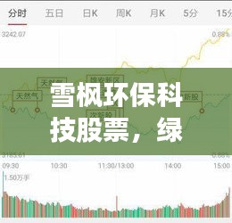 雪枫环保科技股票，绿色发展引领投资新焦点