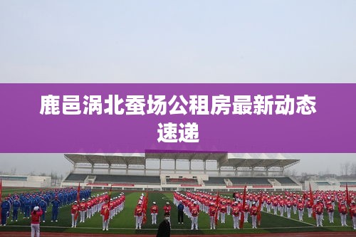 鹿邑涡北蚕场公租房最新动态速递