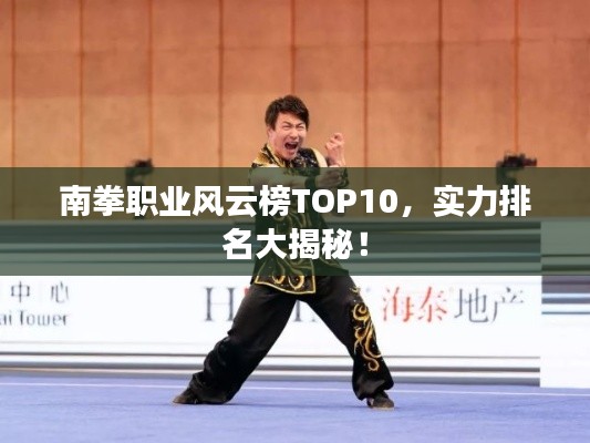 南拳职业风云榜TOP10，实力排名大揭秘！