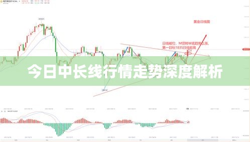 今日中长线行情走势深度解析